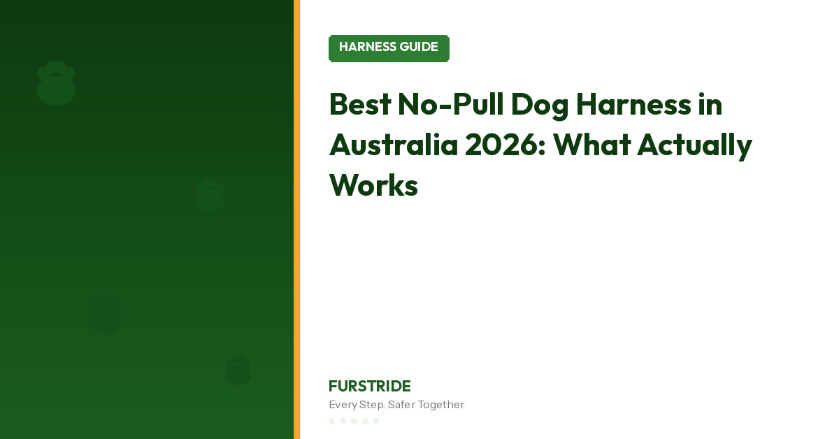 Best No-Pull Dog Harness in Australia 2026: What Actually Works