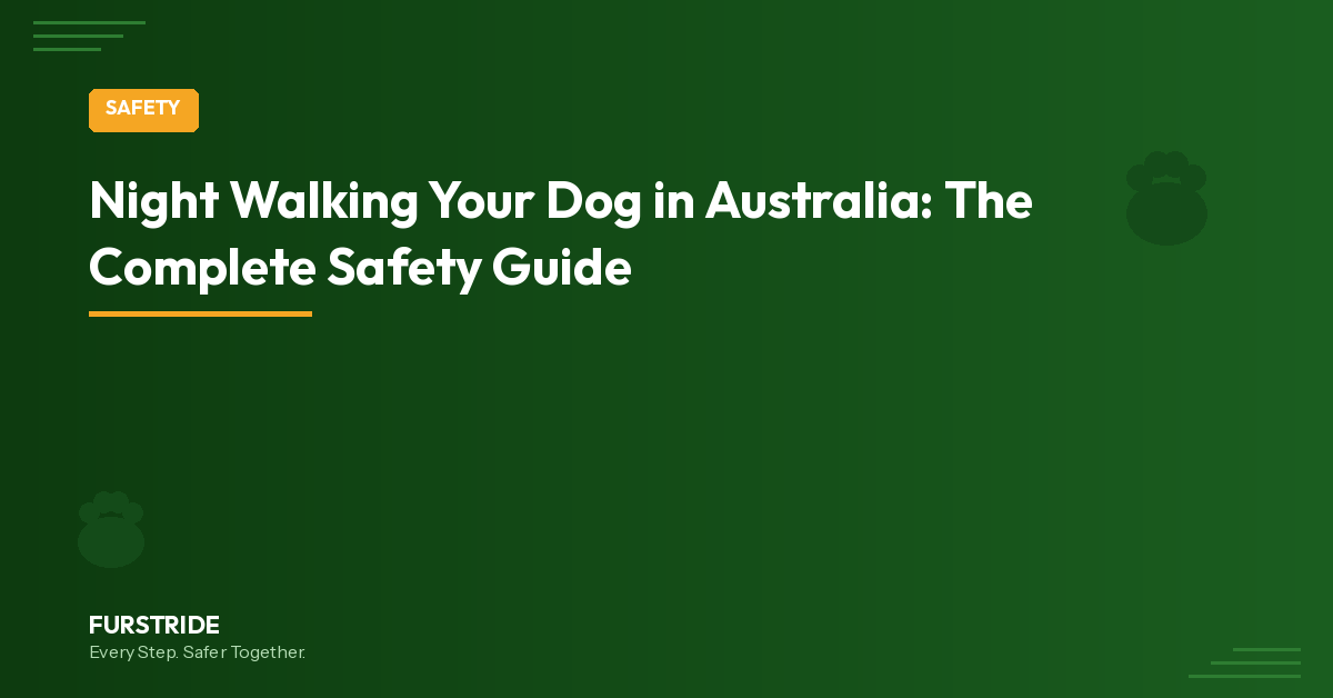 Night Walking Your Dog in Australia: The Complete Safety Guide