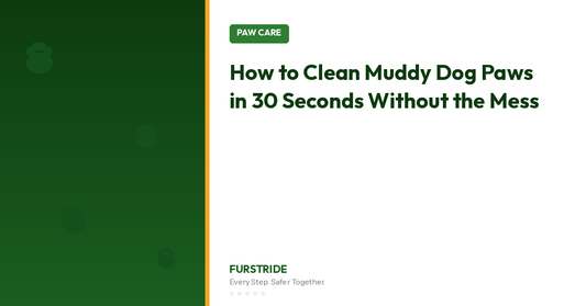 How to Clean Muddy Dog Paws in 30 Seconds (Without the Mess)