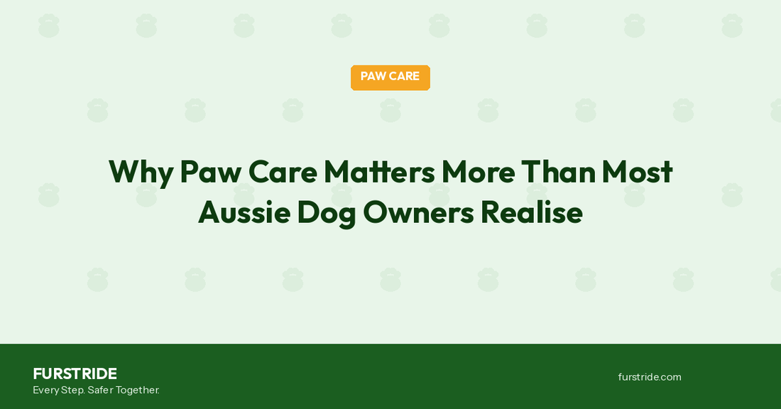 Why Paw Care Matters More Than Most Aussie Dog Owners Realise
