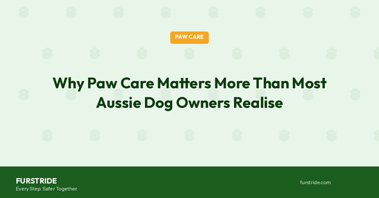 Why Paw Care Matters More Than Most Aussie Dog Owners Realise