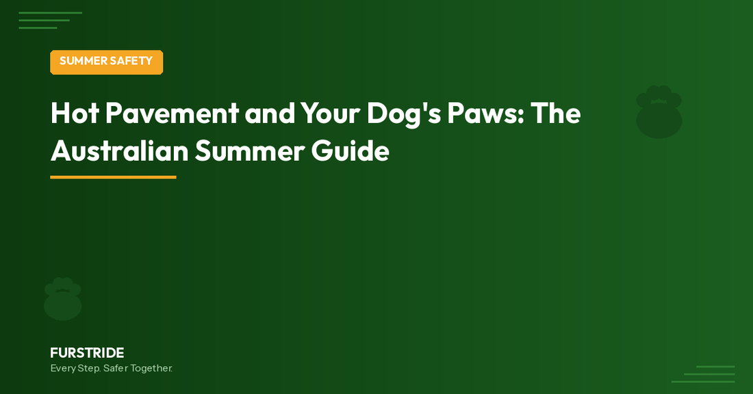 Hot Pavement and Your Dog's Paws: The Australian Summer Guide