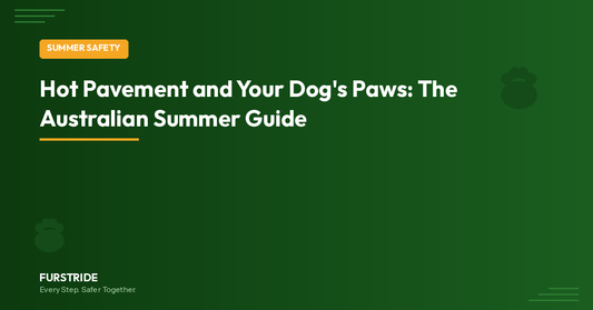 Hot Pavement and Your Dog's Paws: The Australian Summer Guide