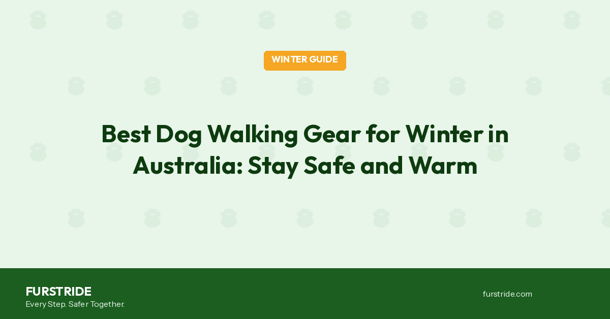 Best Dog Walking Gear for Winter in Australia: Stay Safe & Warm