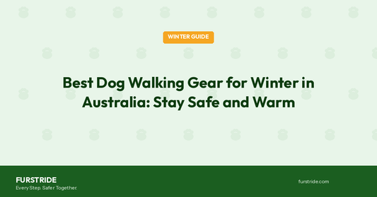 Best Dog Walking Gear for Winter in Australia: Stay Safe & Warm