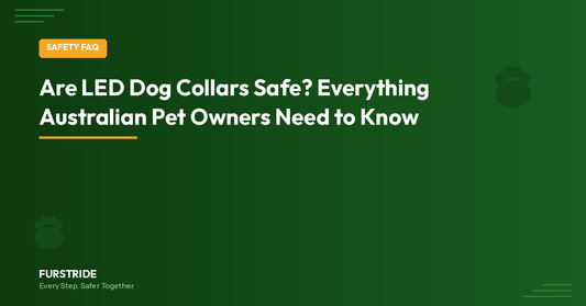 Are LED Dog Collars Safe? Everything Australian Pet Owners Need to Know