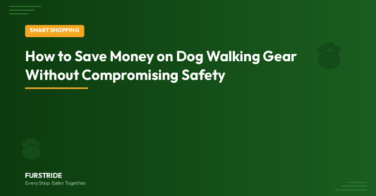 How to Save Money on Dog Walking Gear Without Compromising Safety