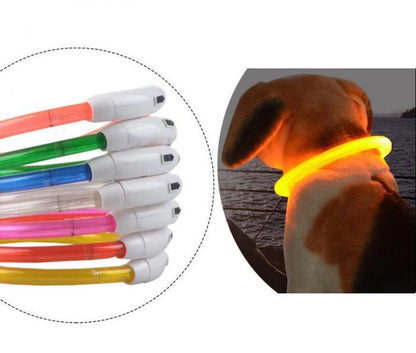 LED Safety Dog Collar