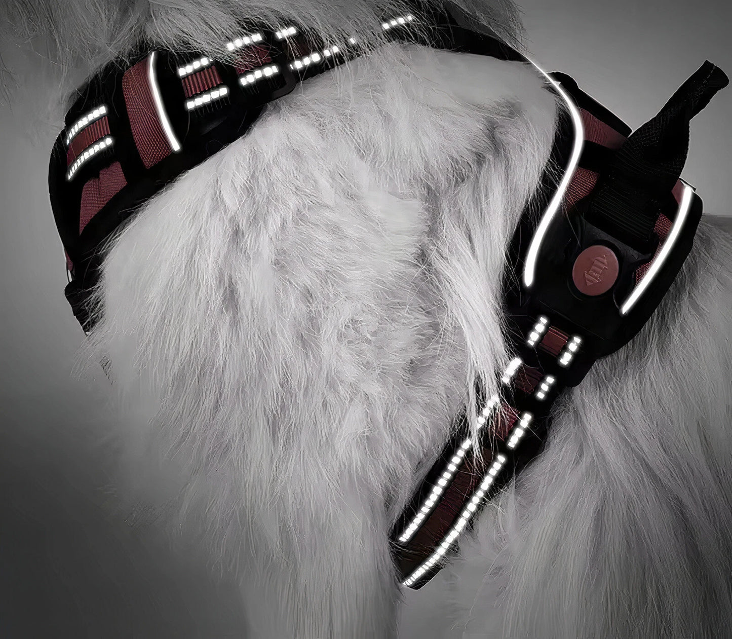 No-Pull Reflective Dog Harness